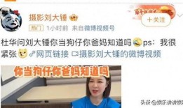 刘大锤今日爆料最新一期,揭秘最新一期惊人内幕